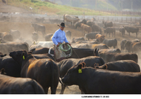 agriculture